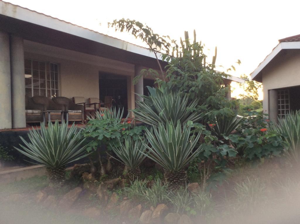 Palm Valley Lodge Chigumula Dış mekan fotoğraf