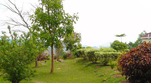 Palm Valley Lodge Chigumula Dış mekan fotoğraf