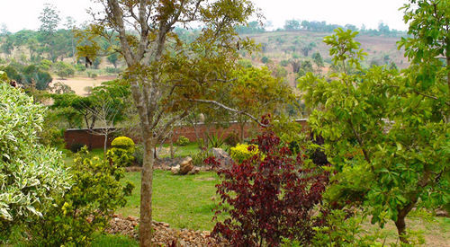 Palm Valley Lodge Chigumula Dış mekan fotoğraf